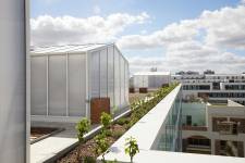 Pauline ALEZRA - Studio Janvier Architectes